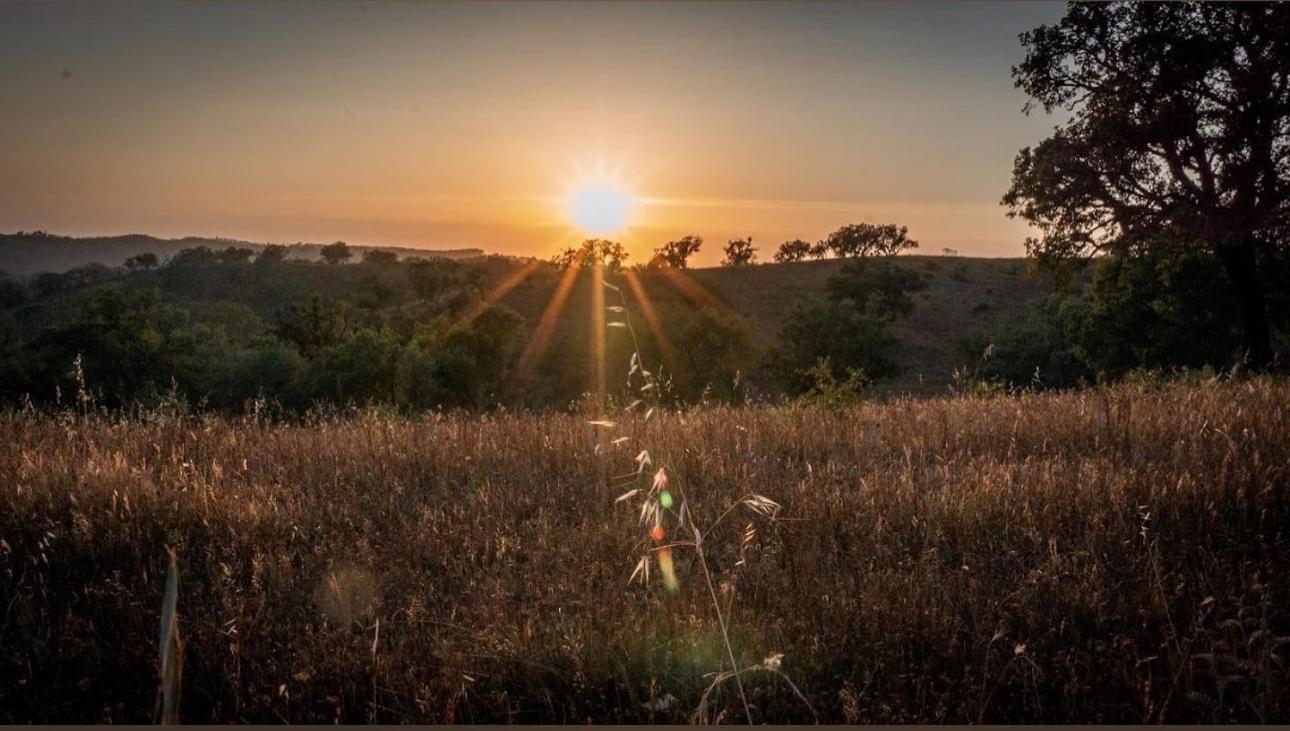 Herdade Da Maceira Villa เซาลูอิส ภายนอก รูปภาพ